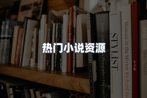 热门小说资源